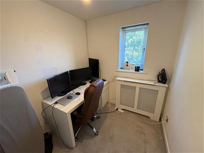 Picture 11